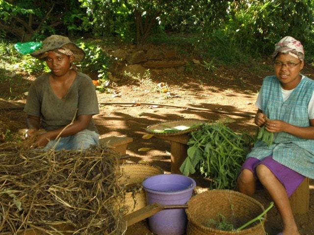 Travail à la ferme des pensionnaires de l’orphelinat Sainte Famille Diego
